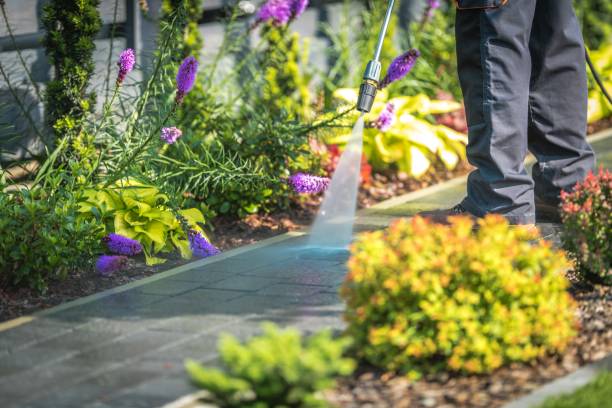Fairmont City, IL Pressure Washing Services Company