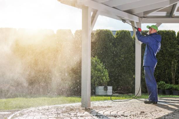 Best Soft Washing  in Fairmont City, IL