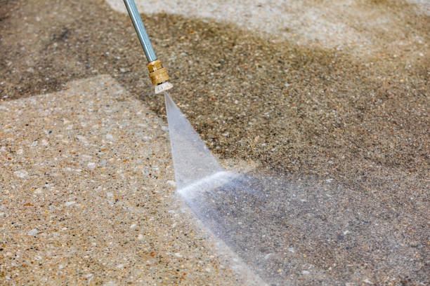 Best Animal Enclosure Cleaning  in Fairmont City, IL